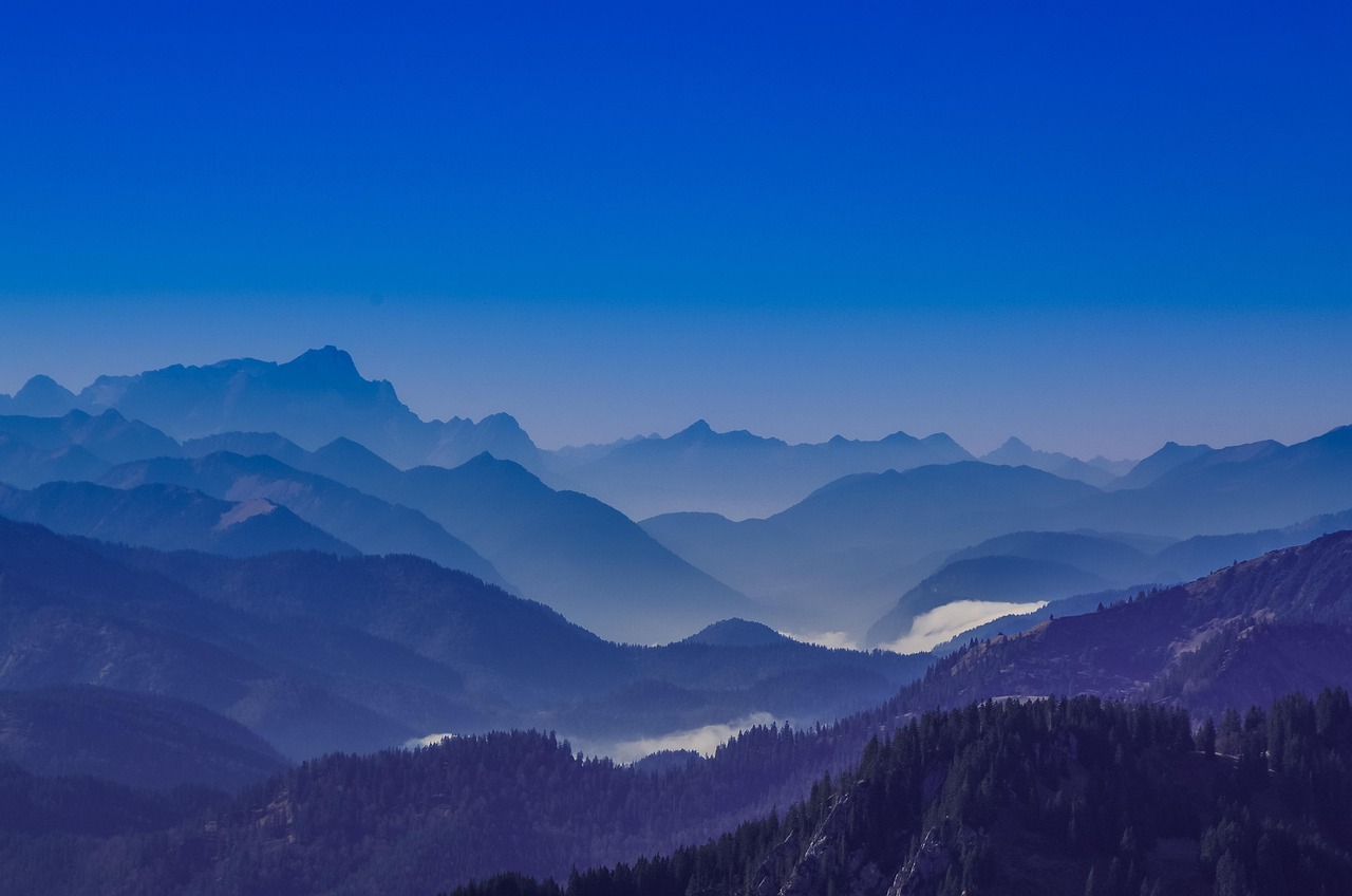 tcp攻击|柜柜软件账号注册