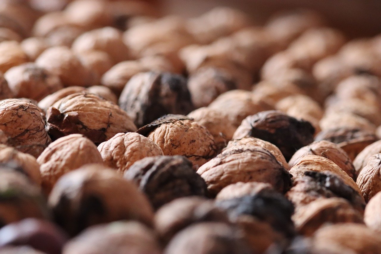 如何使用技术支持辅助来探索游戏内容，而不是作弊