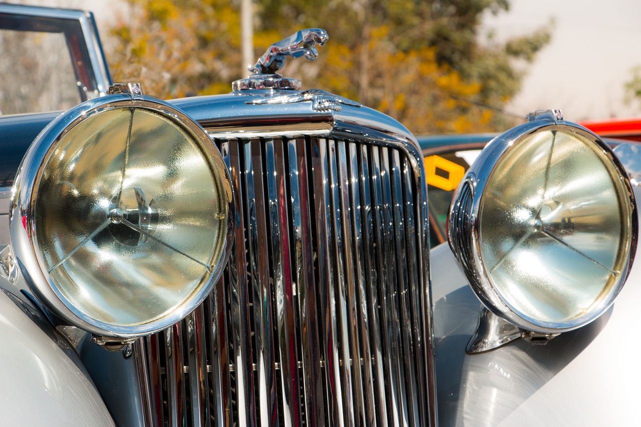 东山商城app 详情下载教程