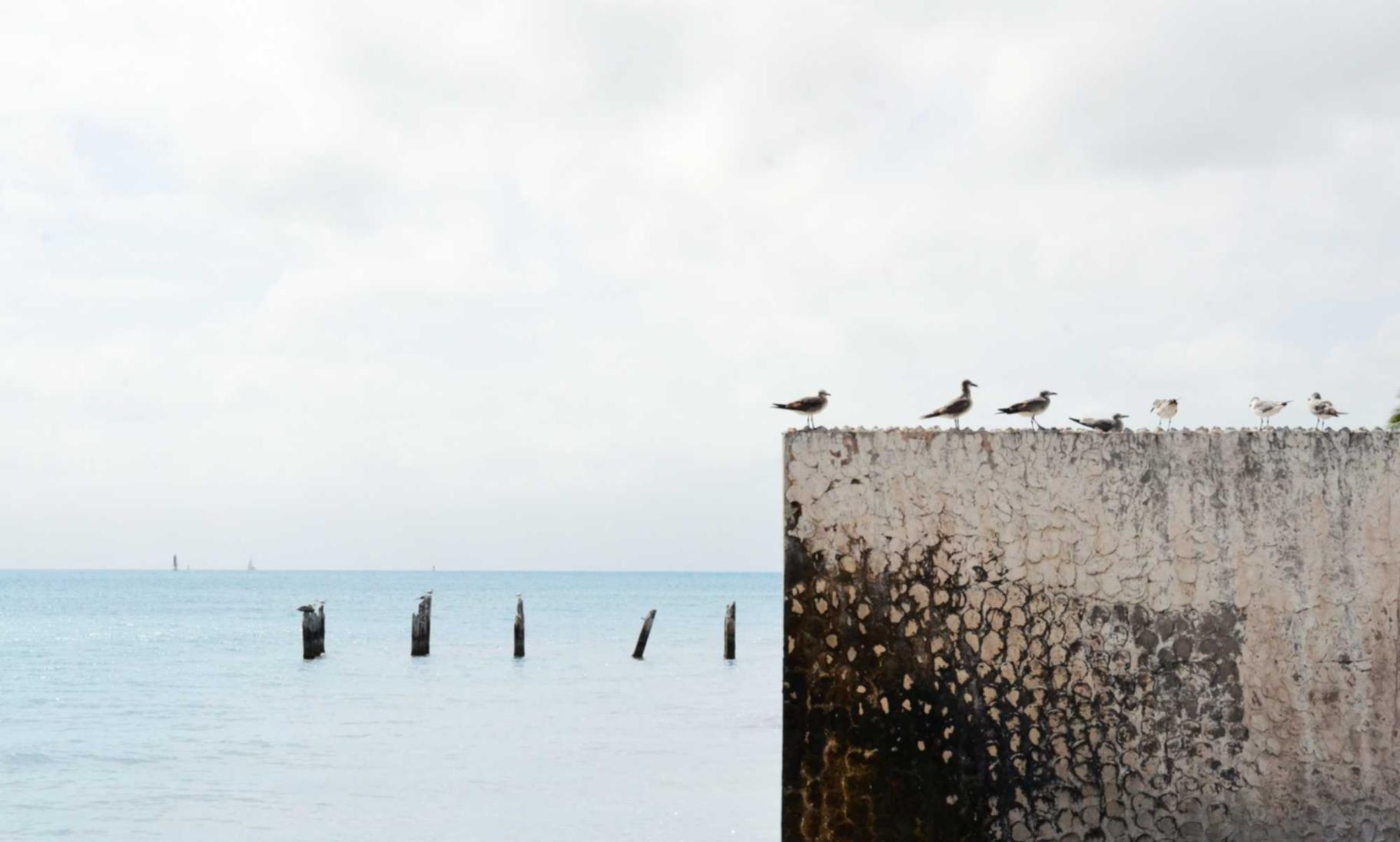 年轻人抽电子烟的趋势