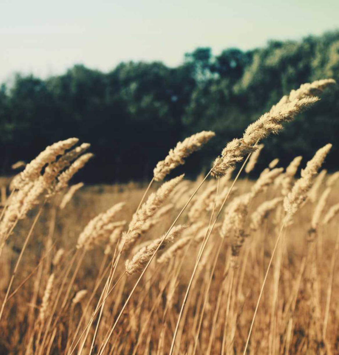 博悦专业儿童卡丁车购买平台