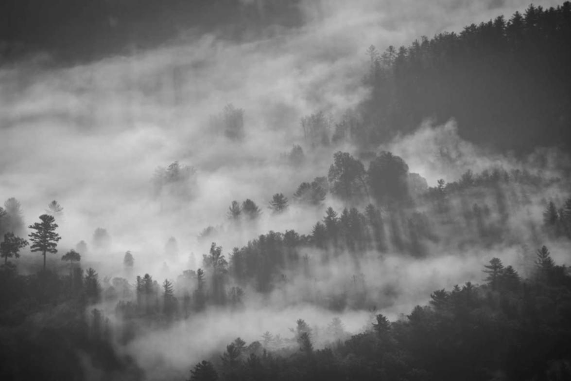 花生ip实名账号：流量卡的充值安全问题